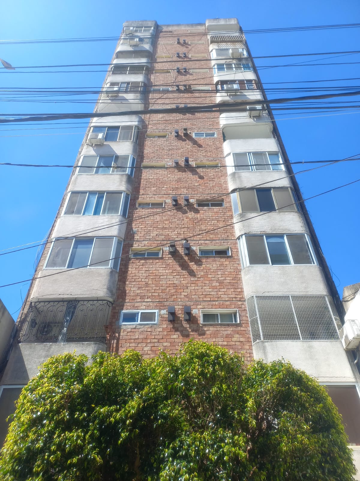 WhatsApp Image 2025-10-29 at 11.50.17