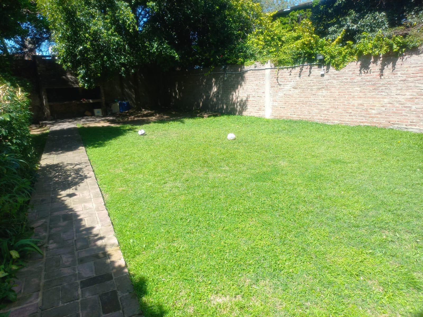 WhatsApp Image 2025-10-29 at 11.50.25