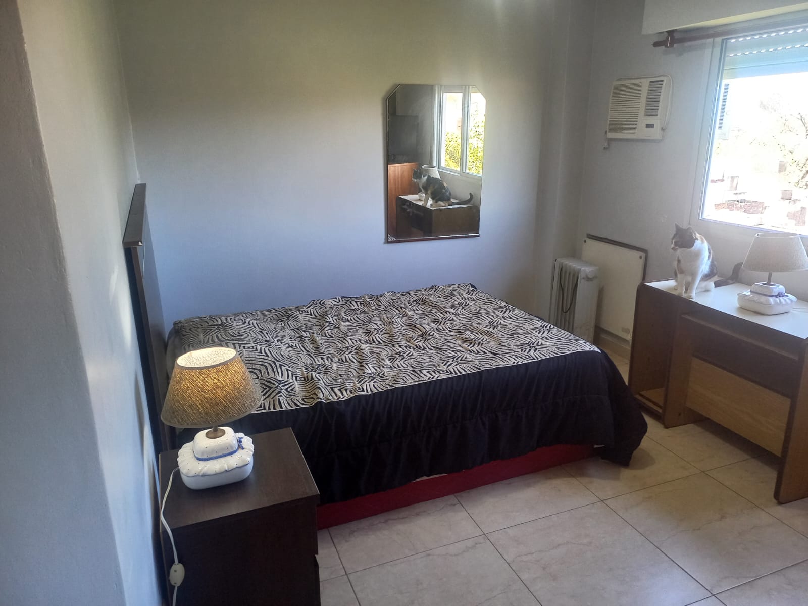 WhatsApp Image 2025-10-29 at 11.50.54 (1)